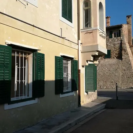 Ciclamino * Grado