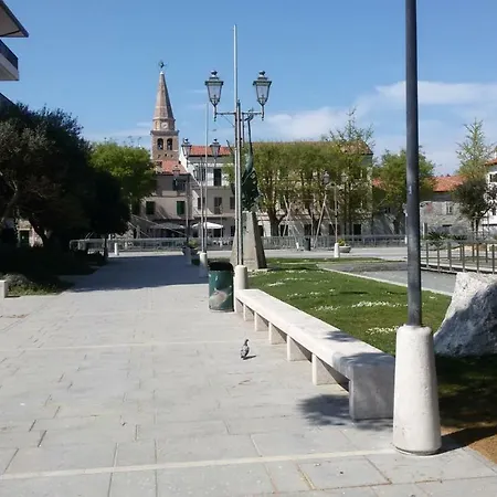 Ciclamino * Grado